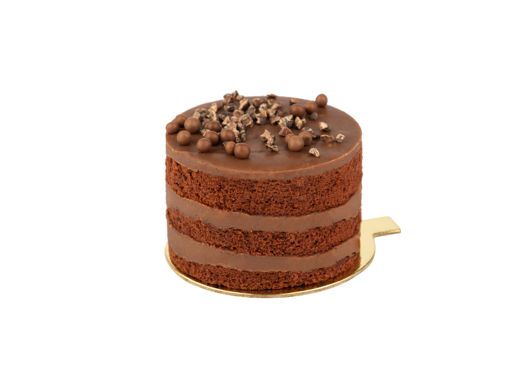 CHOCOLATE MOUNTINE CAKE