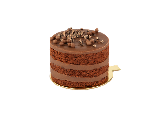 [NA022] CHOCOLATE MOUNTINE CAKE